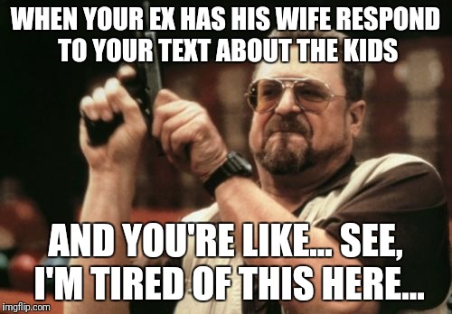 Am I The Only One Around Here | WHEN YOUR EX HAS HIS WIFE RESPOND TO YOUR TEXT ABOUT THE KIDS; AND YOU'RE LIKE...
SEE, I'M TIRED OF THIS HERE... | image tagged in memes,am i the only one around here | made w/ Imgflip meme maker