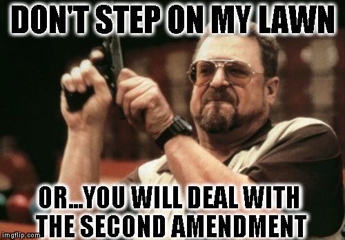 Am I The Only One Around Here Meme | DON'T STEP ON MY LAWN; OR...YOU WILL DEAL WITH THE SECOND AMENDMENT | image tagged in memes,am i the only one around here | made w/ Imgflip meme maker