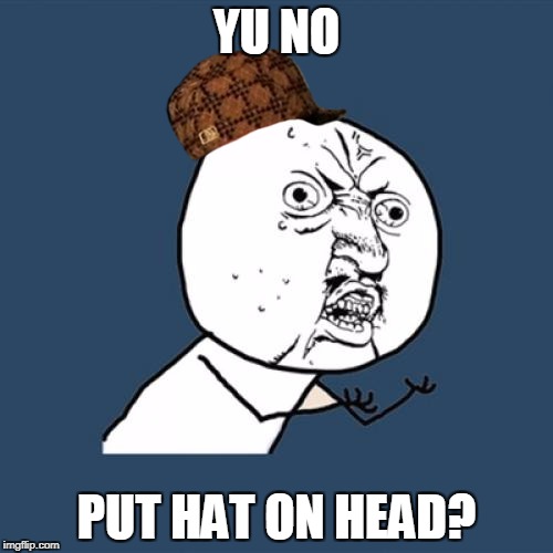 Y U No | YU NO; PUT HAT ON HEAD? | image tagged in memes,y u no,scumbag | made w/ Imgflip meme maker