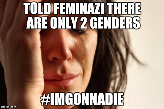 First World Problems | TOLD FEMINAZI THERE ARE ONLY 2 GENDERS; #IMGONNADIE | image tagged in memes,first world problems | made w/ Imgflip meme maker