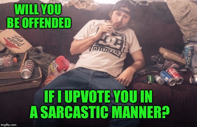 WILL YOU BE OFFENDED IF I UPVOTE YOU IN A SARCASTIC MANNER? | made w/ Imgflip meme maker