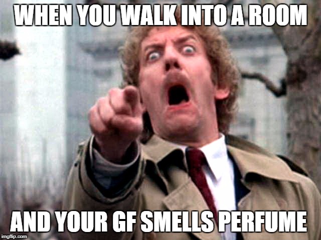 Screaming Donald Sutherland | WHEN YOU WALK INTO A ROOM; AND YOUR GF SMELLS PERFUME | image tagged in screaming donald sutherland | made w/ Imgflip meme maker
