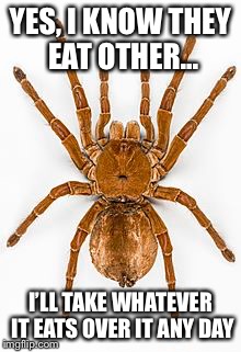 YES, I KNOW THEY EAT OTHER... I’LL TAKE WHATEVER IT EATS OVER IT ANY DAY | image tagged in eww | made w/ Imgflip meme maker