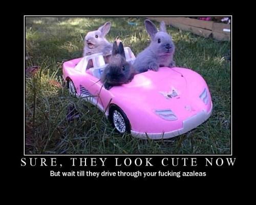 image tagged in demotivationals