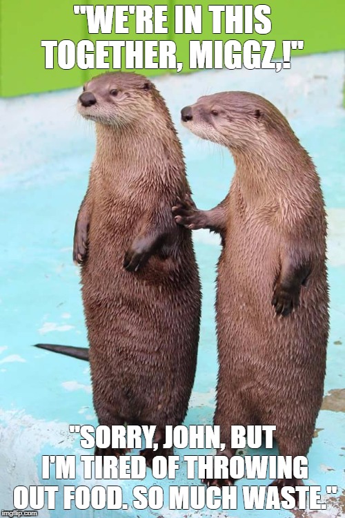 Otter Friends | "WE'RE IN THIS TOGETHER, MIGGZ,!"; "SORRY, JOHN, BUT I'M TIRED OF THROWING OUT FOOD. SO MUCH WASTE." | image tagged in otter friends | made w/ Imgflip meme maker