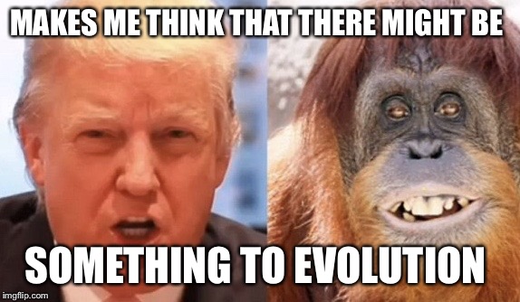 Intelligent design? | MAKES ME THINK THAT THERE MIGHT BE; SOMETHING TO EVOLUTION | image tagged in trump orangutan | made w/ Imgflip meme maker