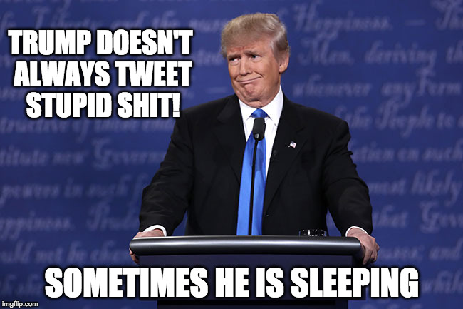 Donald Trump Tweets Stupid Shit | TRUMP DOESN'T ALWAYS TWEET STUPID SHIT! SOMETIMES HE IS SLEEPING | image tagged in donald trump,stupid shit,potus,potus45 | made w/ Imgflip meme maker