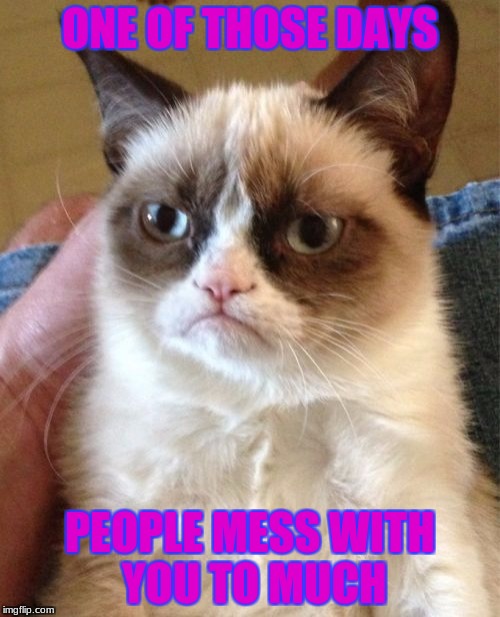 Grumpy Cat Meme | ONE OF THOSE DAYS; PEOPLE MESS WITH YOU TO MUCH | image tagged in memes,grumpy cat | made w/ Imgflip meme maker