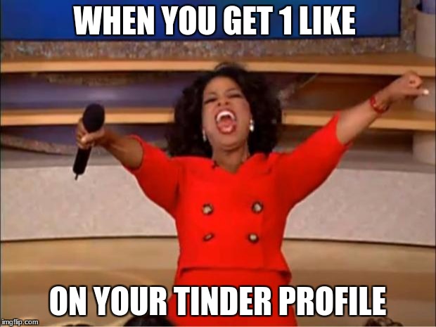 Oprah You Get A | WHEN YOU GET 1 LIKE; ON YOUR TINDER PROFILE | image tagged in memes,oprah you get a | made w/ Imgflip meme maker