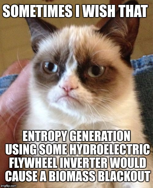 Grumpy Thesaurus | SOMETIMES I WISH THAT; ENTROPY GENERATION USING SOME HYDROELECTRIC FLYWHEEL INVERTER WOULD CAUSE A BIOMASS BLACKOUT | image tagged in memes,grumpy cat,funny,blackout,flywheel,entropy | made w/ Imgflip meme maker