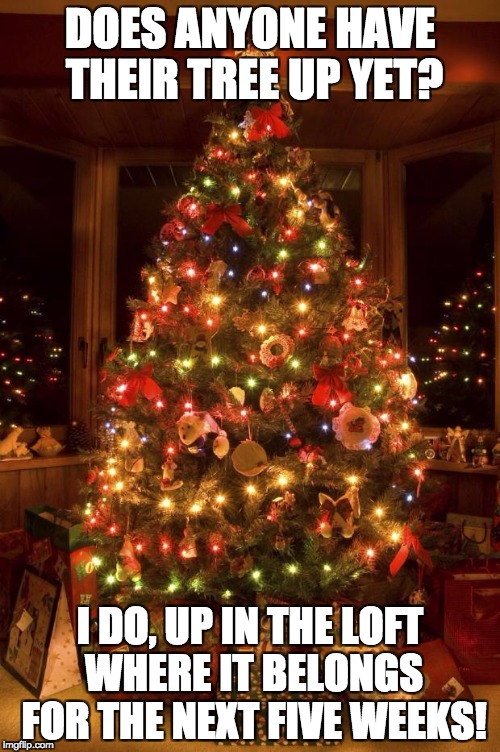 Christmas Tree | DOES ANYONE HAVE THEIR TREE UP YET? I DO, UP IN THE LOFT WHERE IT BELONGS FOR THE NEXT FIVE WEEKS! | image tagged in christmas tree | made w/ Imgflip meme maker