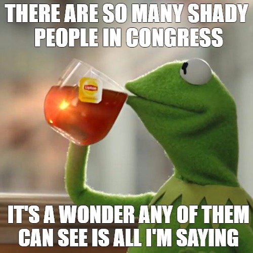 need brightness  | THERE ARE SO MANY SHADY PEOPLE IN CONGRESS; IT'S A WONDER ANY OF THEM CAN SEE IS ALL I'M SAYING | image tagged in memes,but thats none of my business,kermit the frog | made w/ Imgflip meme maker