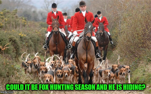 COULD IT BE FOX HUNTING SEASON AND HE IS HIDING? | made w/ Imgflip meme maker