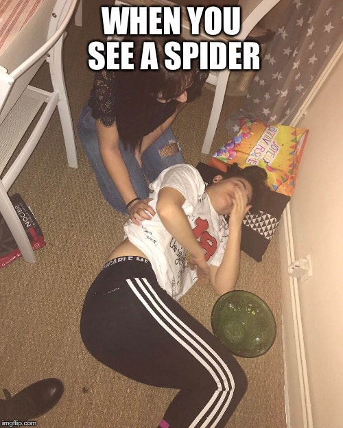 True that | WHEN YOU SEE A SPIDER | image tagged in scared half to death,memes,spiders | made w/ Imgflip meme maker