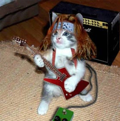 High Quality Guitar Cat Blank Meme Template