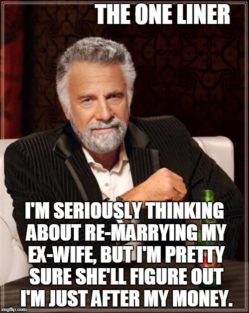 The Most Interesting Man In The World Meme | THE ONE LINER; I'M SERIOUSLY THINKING ABOUT RE-MARRYING MY EX-WIFE, BUT I'M PRETTY SURE SHE'LL FIGURE OUT I'M JUST AFTER MY MONEY. | image tagged in memes,the most interesting man in the world | made w/ Imgflip meme maker