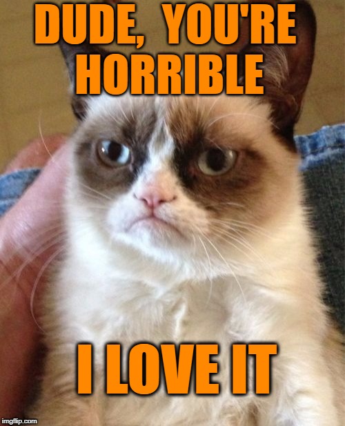 Grumpy Cat Meme | DUDE,  YOU'RE HORRIBLE I LOVE IT | image tagged in memes,grumpy cat | made w/ Imgflip meme maker
