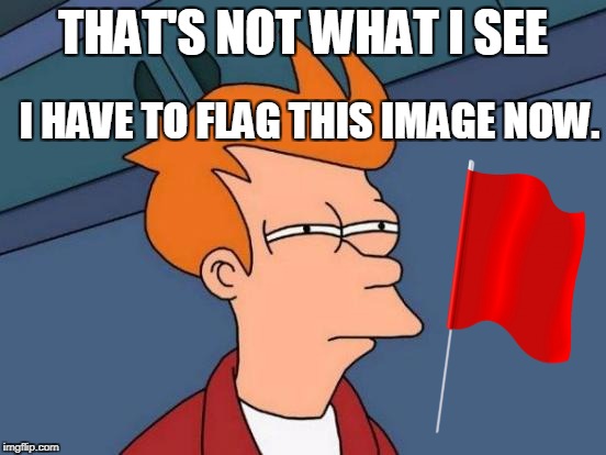 Futurama Fry Meme | THAT'S NOT WHAT I SEE I HAVE TO FLAG THIS IMAGE NOW. | image tagged in memes,futurama fry | made w/ Imgflip meme maker