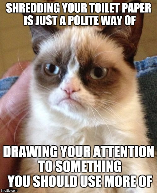 Grumpy Cat Meme | SHREDDING YOUR TOILET PAPER IS JUST A POLITE WAY OF DRAWING YOUR ATTENTION TO SOMETHING YOU SHOULD USE MORE OF | image tagged in memes,grumpy cat | made w/ Imgflip meme maker