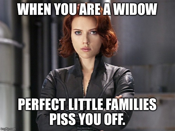 Black Widow - Not Impressed | WHEN YOU ARE A WIDOW; PERFECT LITTLE FAMILIES PISS YOU OFF. | image tagged in black widow - not impressed | made w/ Imgflip meme maker