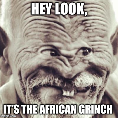 Africans r bae | HEY LOOK, IT’S THE AFRICAN GRINCH | image tagged in grinch | made w/ Imgflip meme maker
