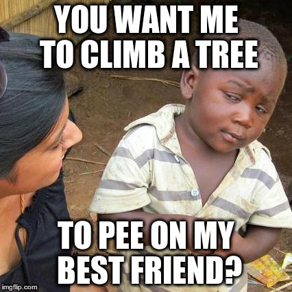 Third World Skeptical Kid Meme | YOU WANT ME TO CLIMB A TREE TO PEE ON MY BEST FRIEND? | image tagged in memes,third world skeptical kid | made w/ Imgflip meme maker