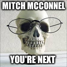 MITCH MCCONNEL; YOU'RE NEXT | image tagged in skull with glasses | made w/ Imgflip meme maker