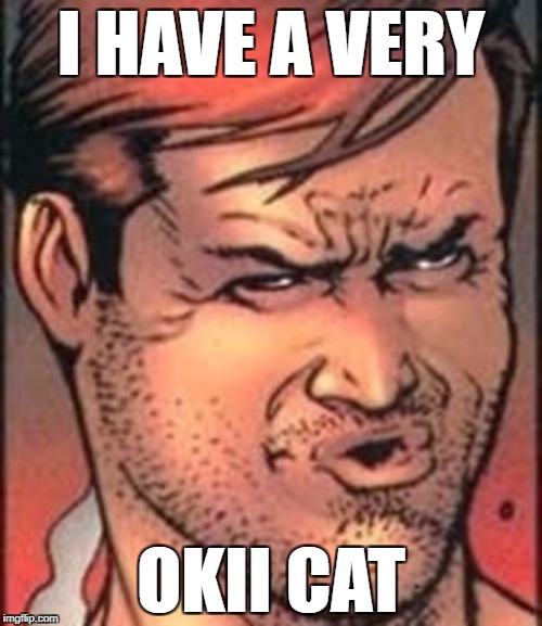 Very Big Cat | I HAVE A VERY; OKII CAT | image tagged in oooohhhh,cat | made w/ Imgflip meme maker