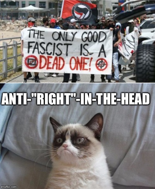 Grumpy cat vs antifa  | ANTI-"RIGHT"-IN-THE-HEAD | image tagged in grumpy cat vs antifa | made w/ Imgflip meme maker