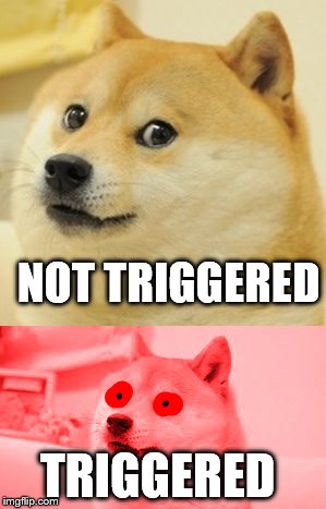 Triggered Doge | NOT TRIGGERED; TRIGGERED | image tagged in doge,funny,memes,triggered,funny meme | made w/ Imgflip meme maker