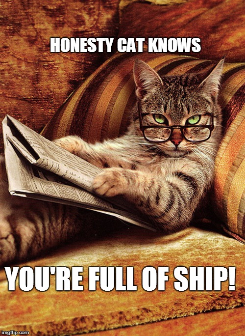 HONESTY CAT KNOWS YOU'RE FULL OF SHIP! | made w/ Imgflip meme maker