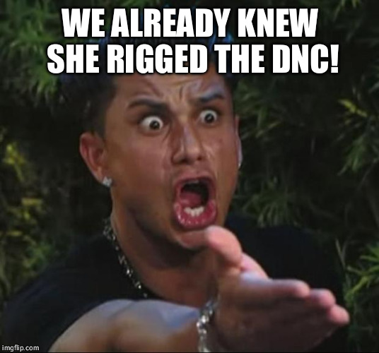 DJ Pauly D Meme | WE ALREADY KNEW SHE RIGGED THE DNC! | image tagged in memes,dj pauly d | made w/ Imgflip meme maker