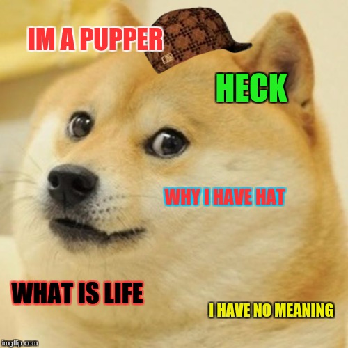Doge | IM A PUPPER; HECK; WHY I HAVE HAT; WHAT IS LIFE; I HAVE NO MEANING | image tagged in memes,doge,scumbag | made w/ Imgflip meme maker