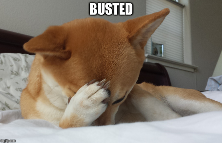 BUSTED | made w/ Imgflip meme maker