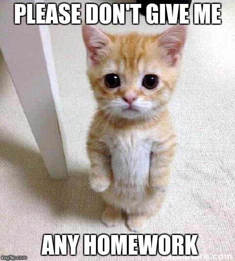 Cute Cat Meme | PLEASE DON'T GIVE ME; ANY HOMEWORK | image tagged in memes,cute cat | made w/ Imgflip meme maker