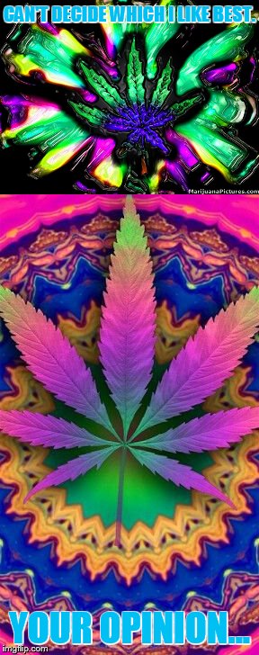 Art Week (a JBmemegeek & Sir_Unknown event) | CAN'T DECIDE WHICH I LIKE BEST. YOUR OPINION... | image tagged in memes,marijuana,leafs,art,please help me,choose | made w/ Imgflip meme maker