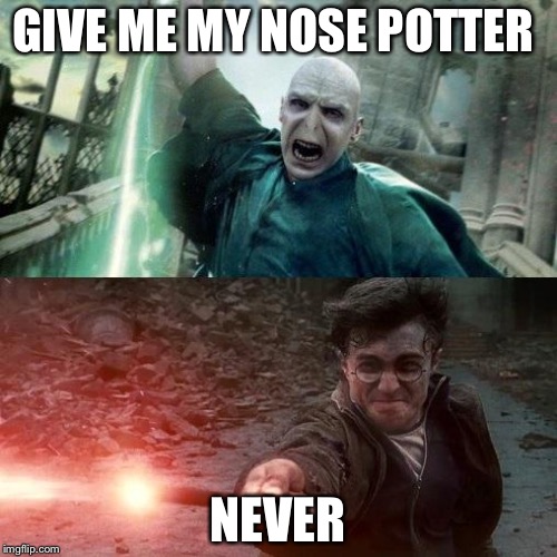 Harry Potter meme | GIVE ME MY NOSE POTTER; NEVER | image tagged in harry potter meme | made w/ Imgflip meme maker