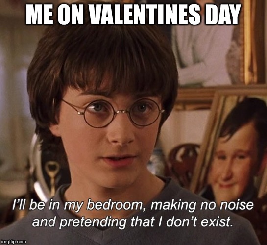 Harry Potter | ME ON VALENTINES DAY | image tagged in harry potter | made w/ Imgflip meme maker