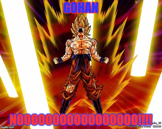 Goku DBZ Wikia Becky Hijabi | GOHAN; NOOOOOOOOOOOOOOOOO!!!! | image tagged in goku dbz wikia becky hijabi | made w/ Imgflip meme maker