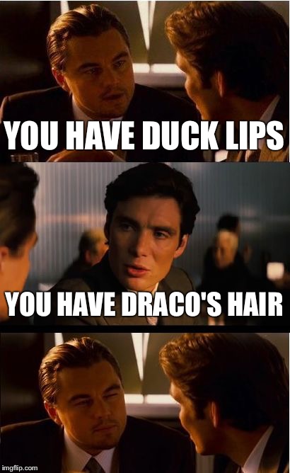 Roast time | YOU HAVE DUCK LIPS; YOU HAVE DRACO'S HAIR | image tagged in memes,inception,roasting | made w/ Imgflip meme maker