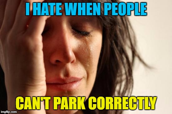 First World Problems Meme | I HATE WHEN PEOPLE CAN'T PARK CORRECTLY | image tagged in memes,first world problems | made w/ Imgflip meme maker