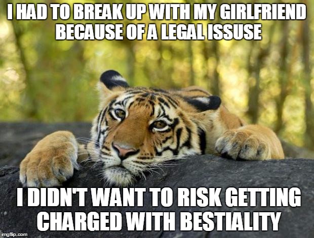 confession tiger hi res | I HAD TO BREAK UP WITH MY GIRLFRIEND BECAUSE OF A LEGAL ISSUSE; I DIDN'T WANT TO RISK GETTING CHARGED WITH BESTIALITY | image tagged in confession tiger hi res | made w/ Imgflip meme maker