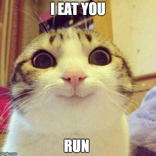 Smiling Cat Meme | I EAT YOU; RUN | image tagged in memes,smiling cat | made w/ Imgflip meme maker