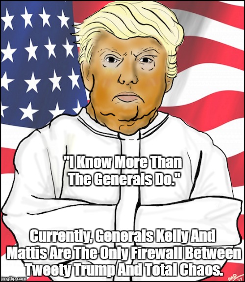 "I Know More Than The Generals Do." Currently, Generals Kelly And Mattis Are The Only Firewall Between Tweety Trump And Total Chaos. | made w/ Imgflip meme maker