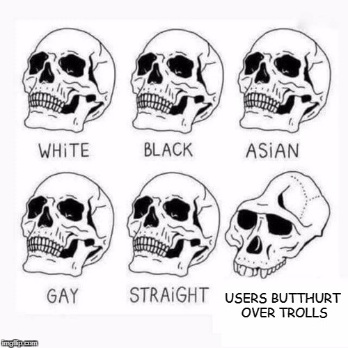 The caption could read "people who can't take a joke"  | USERS BUTTHURT OVER TROLLS | image tagged in memes,retarded caveman skulls,butthurt,imgflip users,trolls | made w/ Imgflip meme maker