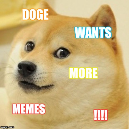 Doge Meme | DOGE; WANTS; MORE; MEMES; !!!! | image tagged in memes,doge | made w/ Imgflip meme maker