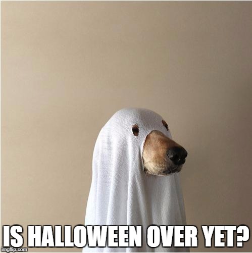 Ghost Doge | IS HALLOWEEN OVER YET? | image tagged in ghost doge | made w/ Imgflip meme maker