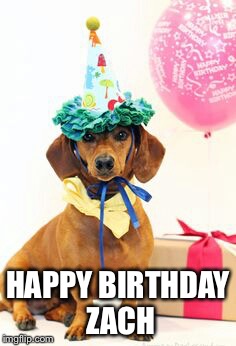 dachshund birthday  | HAPPY BIRTHDAY ZACH | image tagged in dachshund birthday | made w/ Imgflip meme maker
