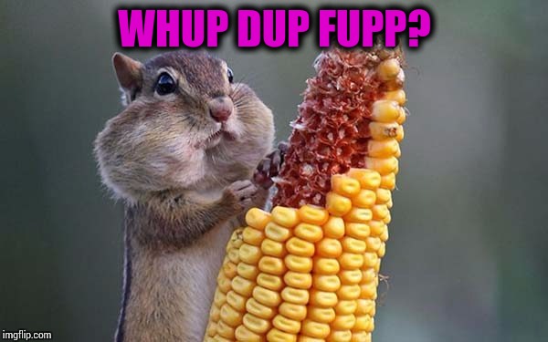 WHUP DUP FUPP? | made w/ Imgflip meme maker