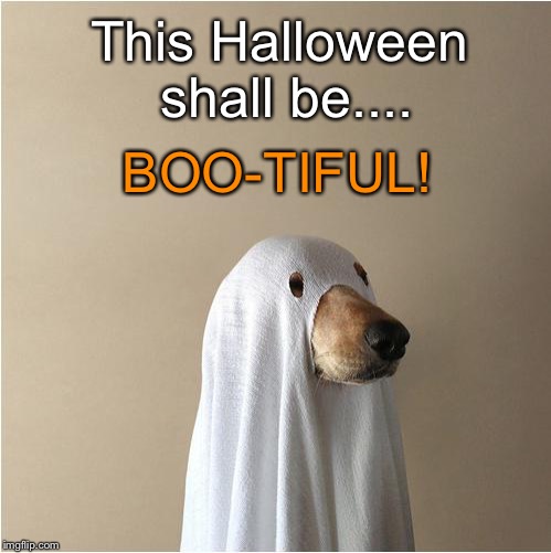Ghost Doge | This Halloween shall be.... BOO-TIFUL! | image tagged in ghost doge | made w/ Imgflip meme maker